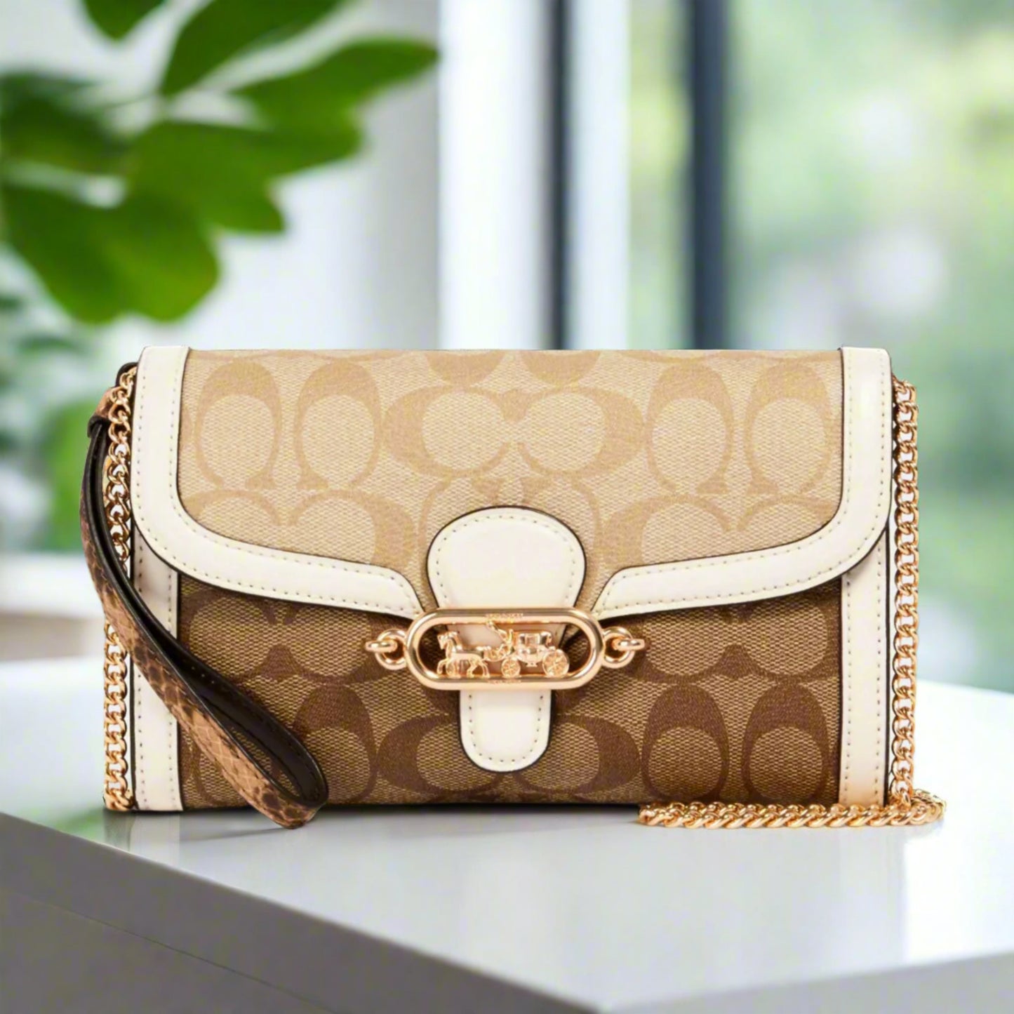 Coach Signature Blocking Exotic Mix Jade Chain Crossbody