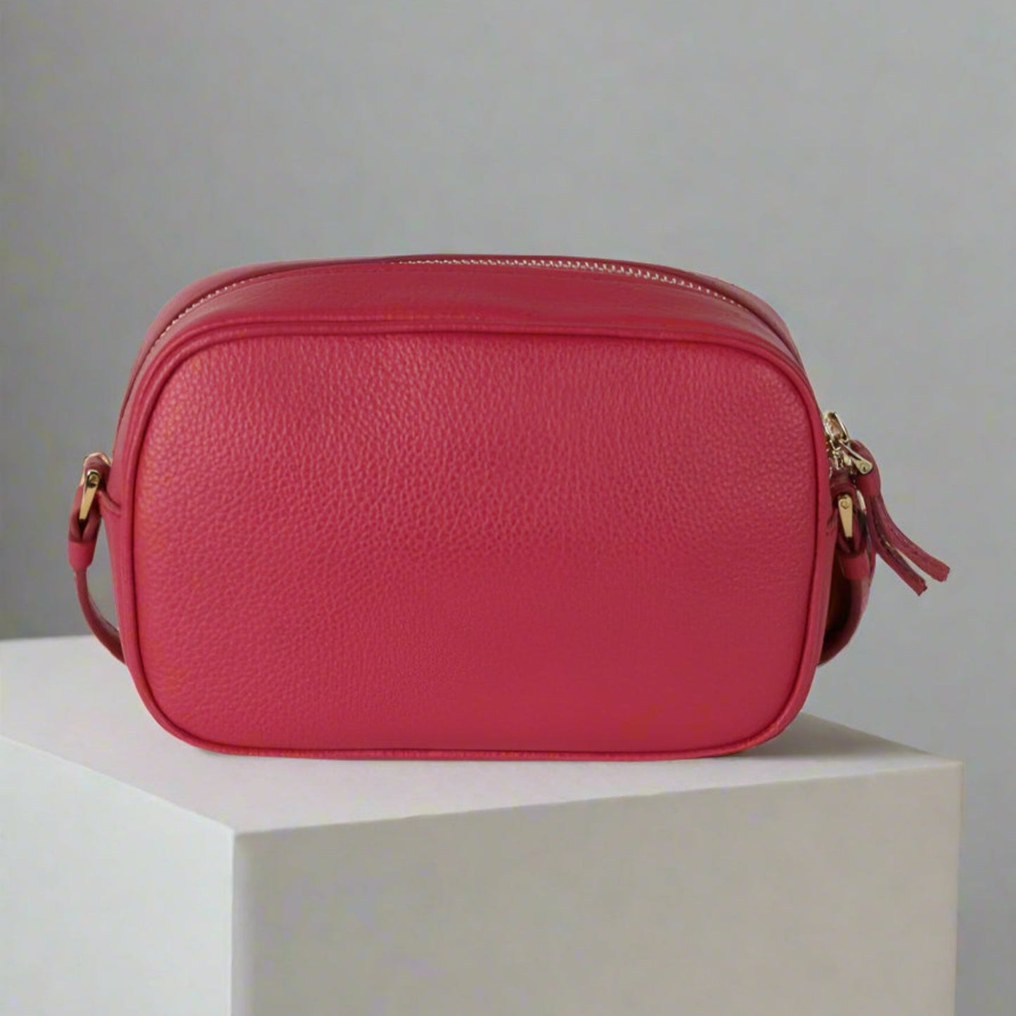 Pink Ferragamo Vara Bow Camera Crossbody Bag with Gold Hardware